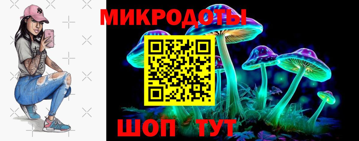 Псилоцибиновые грибы GOLDEN TEACHER Новодвинск