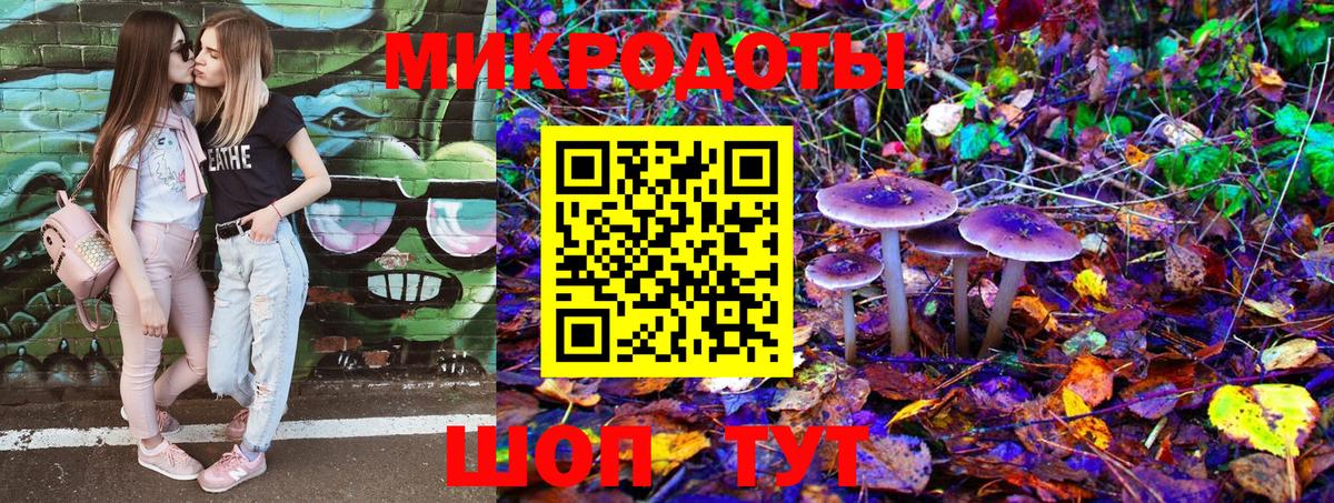 Галлюциногенные грибы Psilocybe  Псилоцибиновые грибы GOLDEN TEACHER  Вход с VPN  Новодвинск 